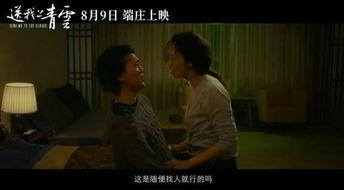 国产黄电影,揭秘中国电影市场的独特魅力与挑战